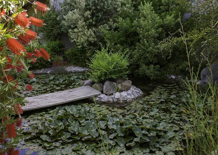 住宿加早餐酒店 奥尔内拉维奇里维托酒店