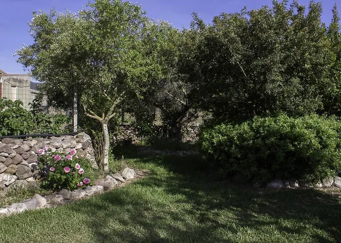 住宿加早餐酒店 奥尔内拉维奇里维托酒店