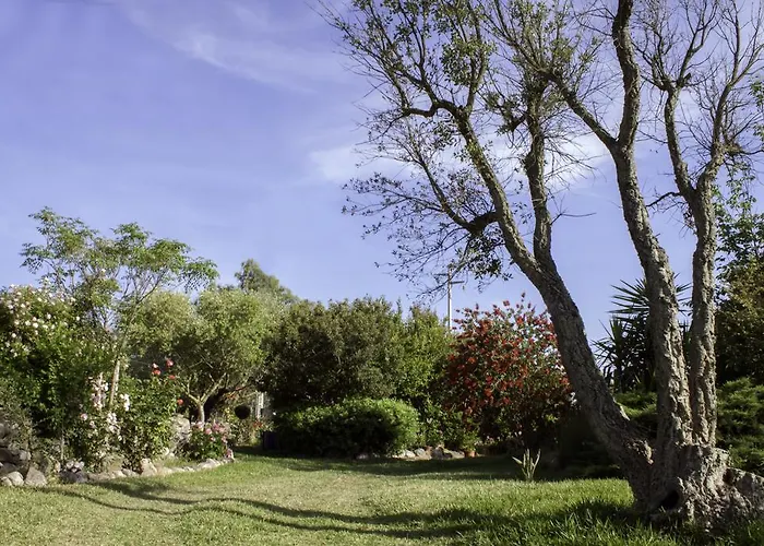 奥尔内拉维奇里维托酒店 3* Marrùbiu