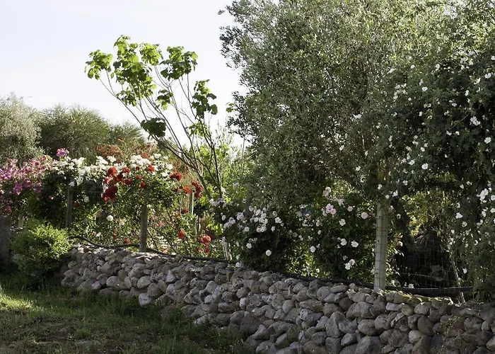 住宿加早餐酒店 奥尔内拉维奇里维托酒店