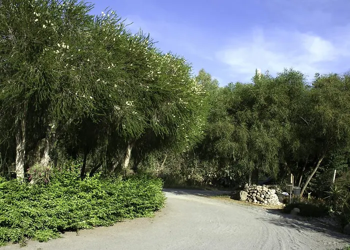 住宿加早餐酒店 奥尔内拉维奇里维托酒店 Marrùbiu