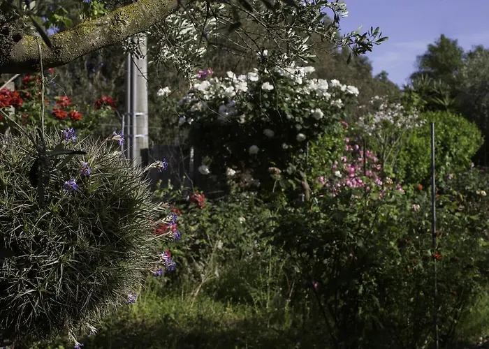 奥尔内拉维奇里维托酒店 住宿加早餐酒店 Marrùbiu