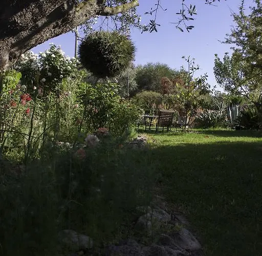 奥尔内拉维奇里维托酒店 住宿加早餐酒店
