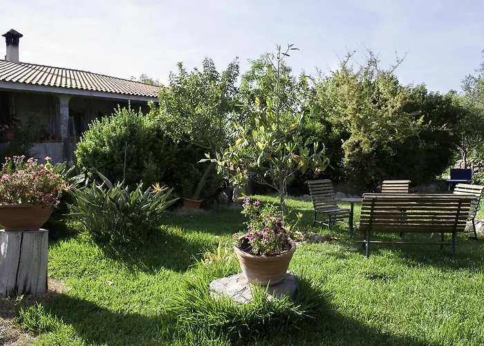 奥尔内拉维奇里维托酒店 住宿加早餐酒店