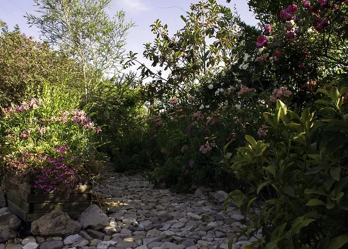 住宿加早餐酒店 奥尔内拉维奇里维托酒店